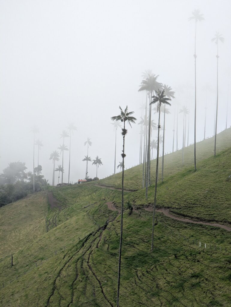 PXL_20250918_194520779