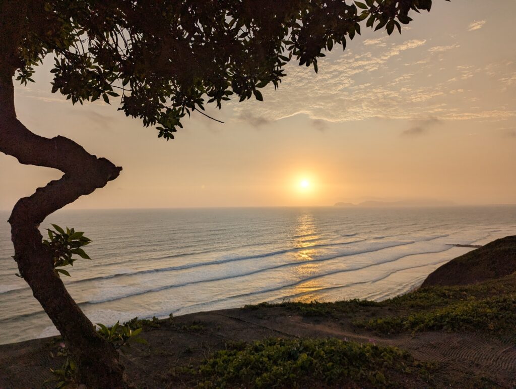 PXL_20251001_224825555