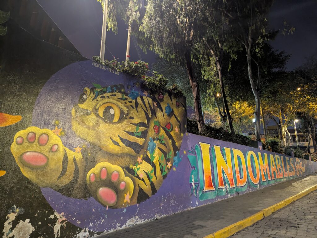 PXL_20251002_234104369