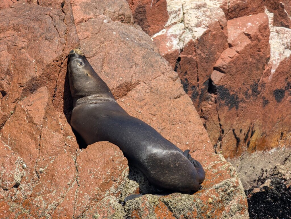 PXL_20251004_141955956